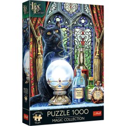 Puzzle Trefl Magic Collection Premium Plus Uczeń czarownicy 1000 el. (10898) Trefl