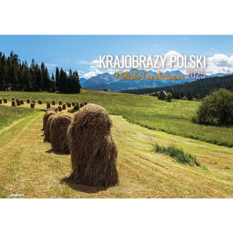 Kalendarz ścienny Avanti KRAJOBRAZY POLSKI wieloplanszowy 285mm x 410mm (KA-7) Avanti