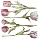 Ozdoba papierowa Titanum Craft-Fun Series Flower Letter tulipany (24XQ0501-11) Titanum