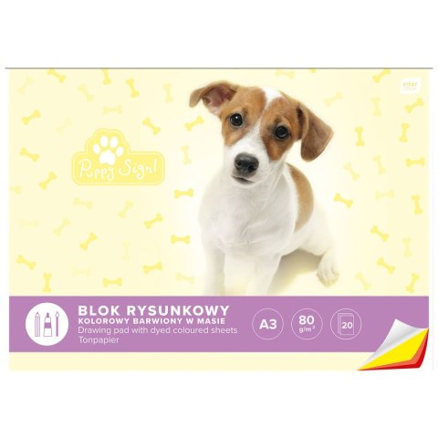 Blok rysunkowy A3 kolorowy 60g 20k [mm:] 420x297 Interdruk (BLRA3K) Interdruk