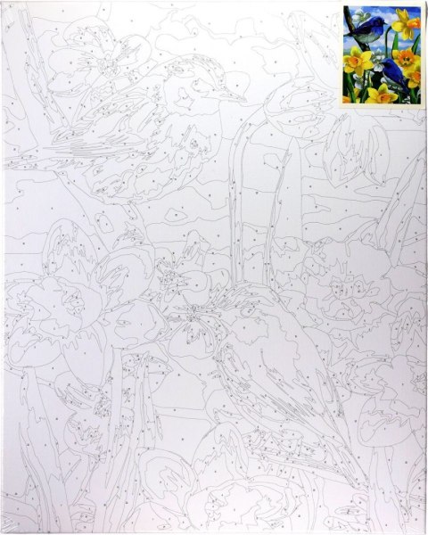 Zestaw kreatywny Malowanie po numerach 40x50cm Ptaszki na żonkilach Flamingo Line (FSY689) Flamingo Line