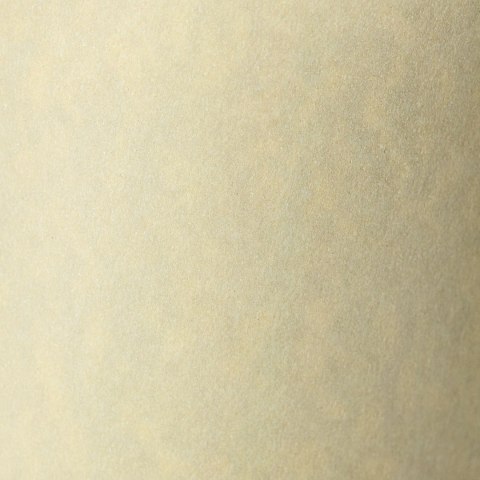 Papier ozdobny (wizytówkowy) A4 Granit kremowy 220g Galeria Papieru (200402) Galeria Papieru