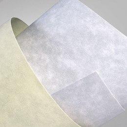 Papier ozdobny (wizytówkowy) Granit A4 kremowy 220g Galeria Papieru (200402) Galeria Papieru