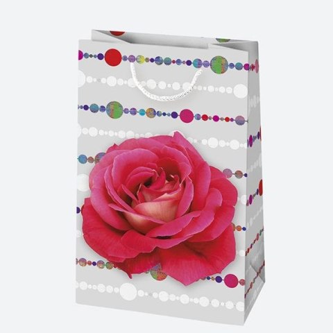 Torba prezentowa [mm:] 100x160x 60 Pol-mak Pol-mak