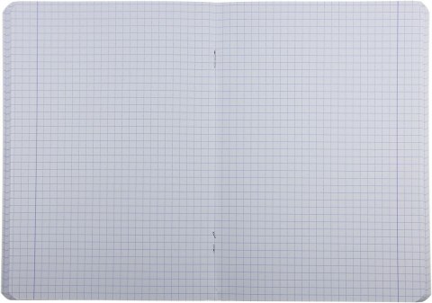 Zeszyt PAINT A5 60k. krata Oxford (400170245) Oxford