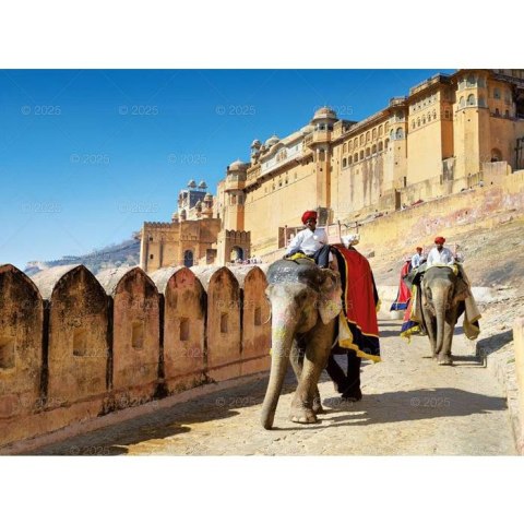 Kalendarz ścienny PODRÓŻE PO KONTYNENTACH WIELOPLANSZOWY 12K 320mm x 470mm Lucrum (RW11) Lucrum