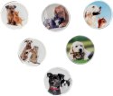 Magnes PIES I KOT okrągły mix śr. 30mm Fun&Joy 6 sztuk Fun&Joy