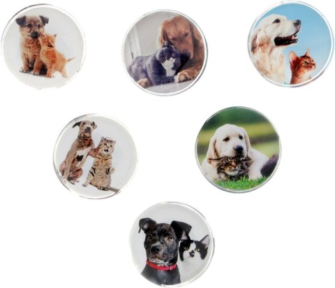 Magnes PIES I KOT okrągły mix śr. 30mm Fun&Joy 6 sztuk Fun&Joy