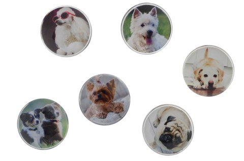 Magnes PIES okrągły mix śr. 30mm Fun&Joy 6 sztuk Fun&Joy