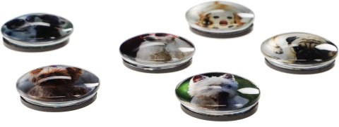 Magnes PIES okrągły mix śr. 30mm Fun&Joy 6 sztuk Fun&Joy