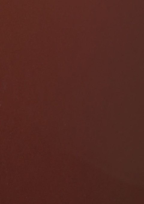 Brystol A3 brązowy 160g 20k Protos Protos