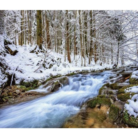 Kalendarz ścienny LASY POLSKIE WIELOPLANSZOWY 12K A3 Lucrum (RW6) Lucrum