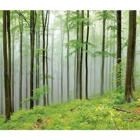 Kalendarz ścienny LASY POLSKIE WIELOPLANSZOWY 12K A3 Lucrum (RW6) Lucrum