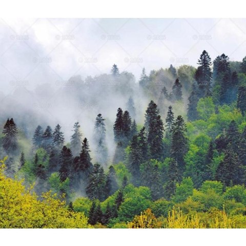 Kalendarz ścienny LASY POLSKIE WIELOPLANSZOWY 12K A3 Lucrum (RW6) Lucrum