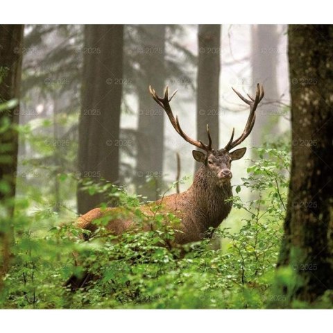 Kalendarz ścienny LASY POLSKIE WIELOPLANSZOWY 12K A3 Lucrum (RW6) Lucrum