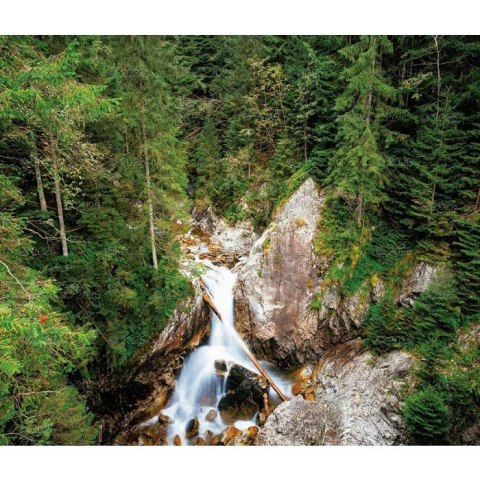 Kalendarz ścienny LASY POLSKIE WIELOPLANSZOWY 12K A3 Lucrum (RW6) Lucrum