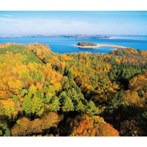 Kalendarz ścienny LASY POLSKIE WIELOPLANSZOWY 12K A3 Lucrum (RW6) Lucrum