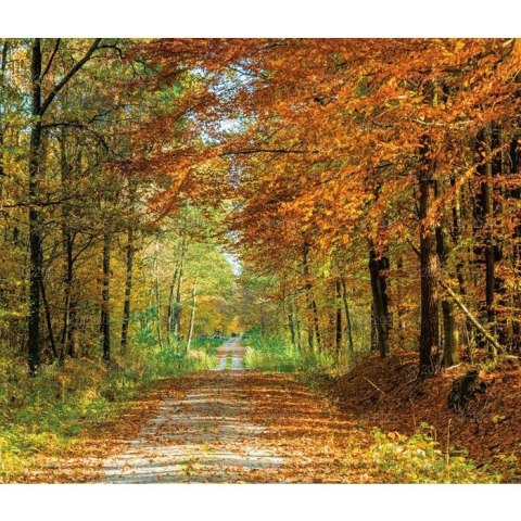 Kalendarz ścienny LASY POLSKIE WIELOPLANSZOWY 12K A3 Lucrum (RW6) Lucrum