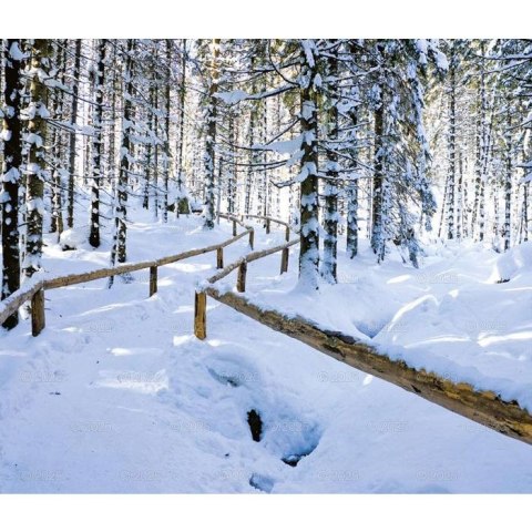 Kalendarz ścienny LASY POLSKIE WIELOPLANSZOWY 12K A3 Lucrum (RW6) Lucrum