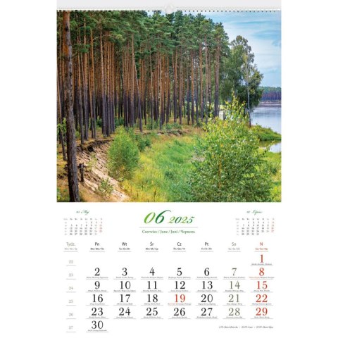 Kalendarz ścienny LASY POLSKIE WIELOPLANSZOWY 12K A3 Lucrum (RW6) Lucrum