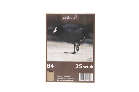 Koperta hk B4 brązowa [mm:] 250x353 WZ Eurocopert 25 sztuk WZ Eurocopert