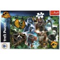 Puzzle Trefl 300 el. (23013) Trefl