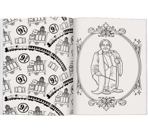 Książka dla dzieci Wizarding World. Magiczna kolorowanka Ameet (FCB 5101) Ameet