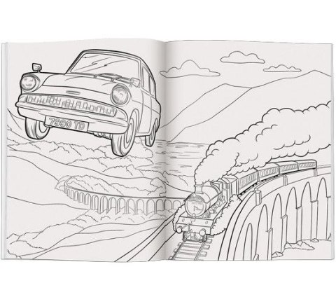 Książka dla dzieci Wizarding World. Magiczna kolorowanka Ameet (FCB 5101) Ameet