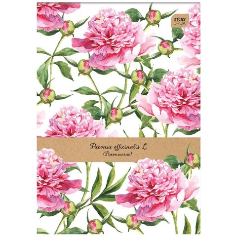 Notes (notatnik) A7 50k. krata [mm:] 74x105 Interdruk (NOA7) Interdruk