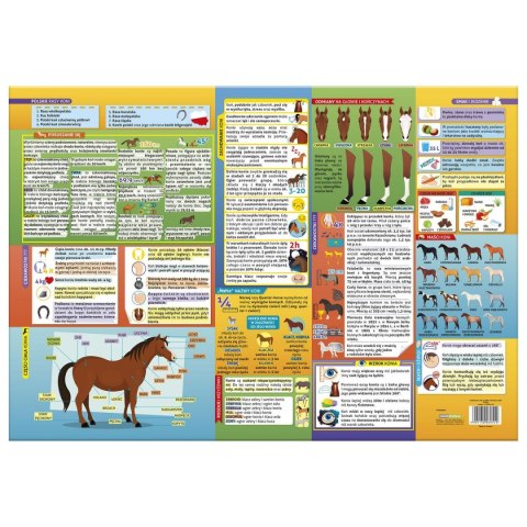 Podkład na biurko konie różnokolorowy karton pokryty folią [mm:] 345x500 Derform (POEKO) Derform