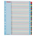 Przekładka numeryczna Esselte Mylar maxi A4 mix kolorów 160g 31k 1-31 (100210) Esselte