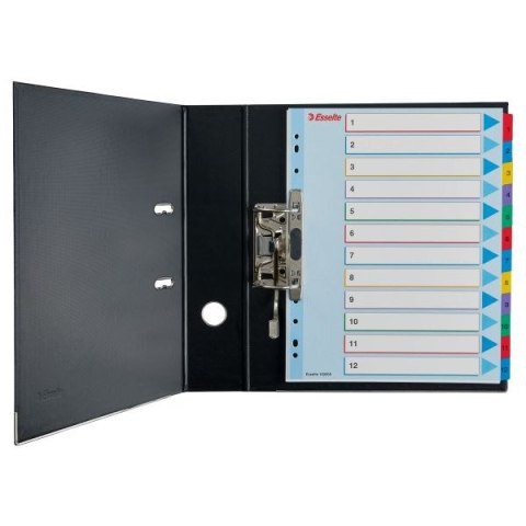 Przekładka numeryczna Mylar maxi A4 mix kolorów 160g 31k 1-31 Esselte (100210) Esselte