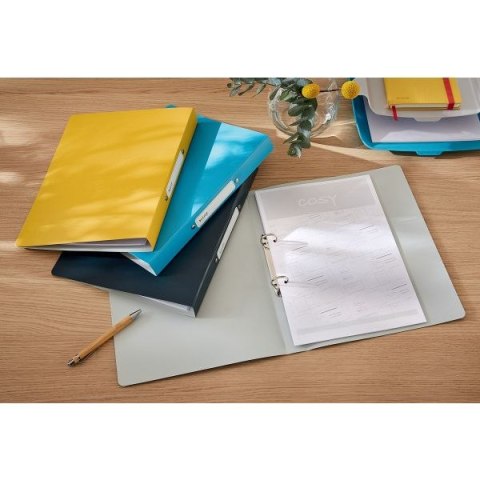 Segregator ringowy Cosy A4 32mm żółty Leitz (42380019) Leitz