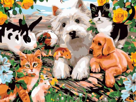 Zestaw kreatywny Malowanie po numerach 30x40cm Zwierzęta Flamingo Line (FC203) Flamingo Line