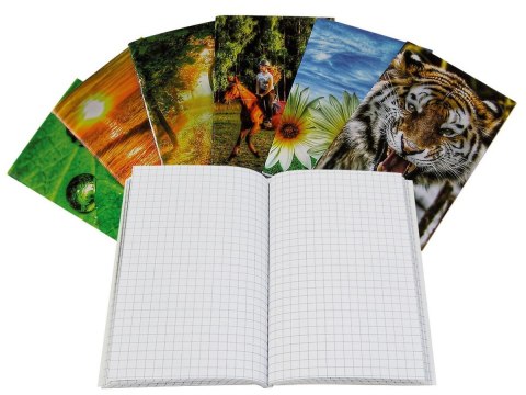 Notes (notatnik) A6 60k. krata [mm:] 100x145 Warta (120-012) Warta