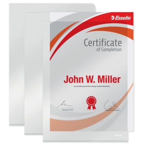 Ofertówka A4 kolor: przezroczysty typu L 150 mic. Esselte (55430) Esselte