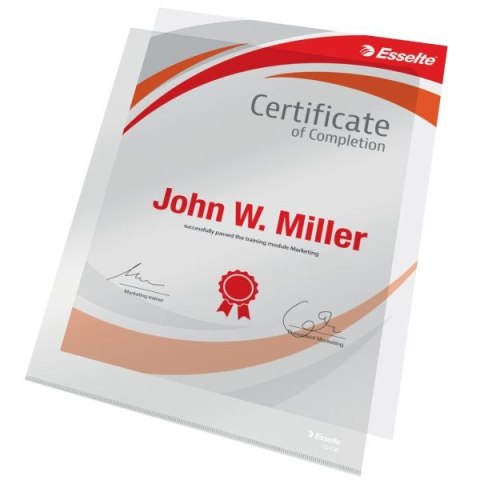 Ofertówka A4 kolor: przezroczysty typu L 150 mic. Esselte (55430) Esselte