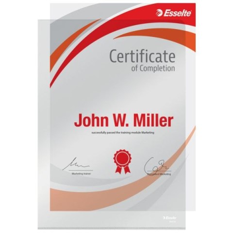 Ofertówka A4 kolor: przezroczysty typu L 150 mic. Esselte (55430) Esselte