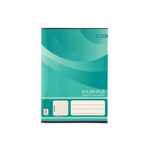 Zeszyt A5 16k. 80g linia Rexus (605431) Rexus