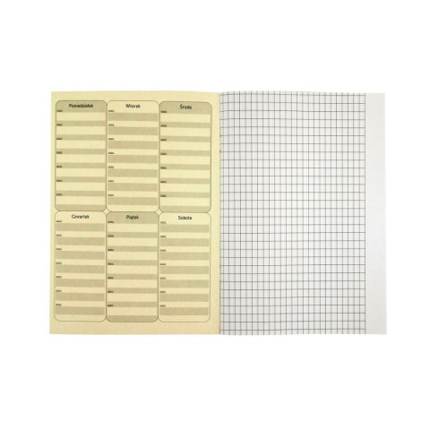 Zeszyt A5 16k. 80g linia Rexus (605431) Rexus