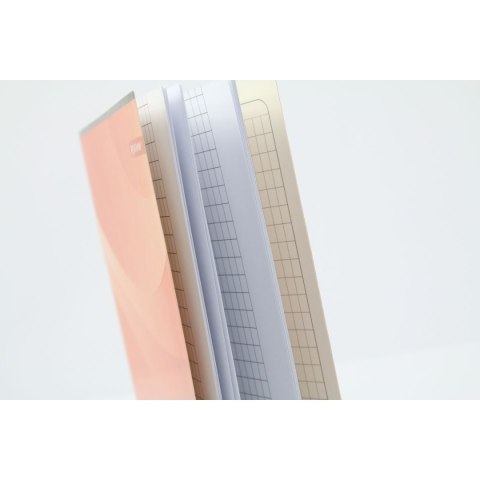 Zeszyt A5 16k. 80g linia Rexus (605431) Rexus