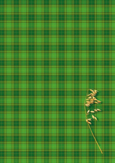 Brulion A5 200k. krata Kreska Kreska