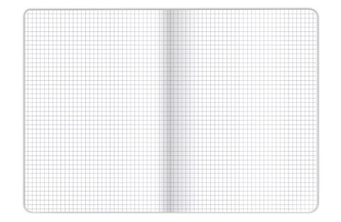 Zeszyt colors mix A6 48k. 70g krata Top 2000 (400169190) Top 2000