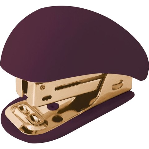 Zszywacz Satin Gold mix 15k Yn-teen Yn-teen