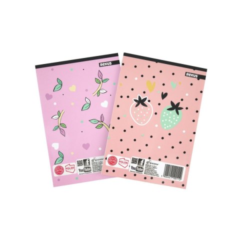 Notes (notatnik) dziewczynka A6 30k. [mm:] 102x148 Rexus Rexus