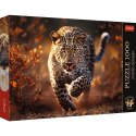 Puzzle Trefl Premium Plus Dziki Leopard 1000 el. (10818) Trefl