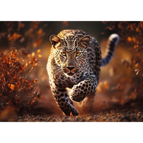 Puzzle Premium Plus Dziki Leopard 1000 el. Trefl (10818) Trefl
