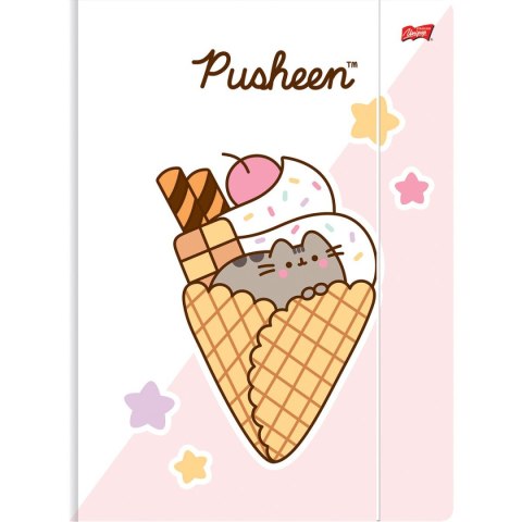 Teczka kartonowa na gumkę Pusheen A4 różne Unipap Unipap