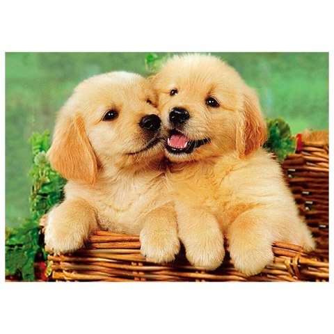 Zestaw kreatywny Diamentowa mozaika 30x40cm Psy 2 Flamingo Line (TYAB26269) Flamingo Line