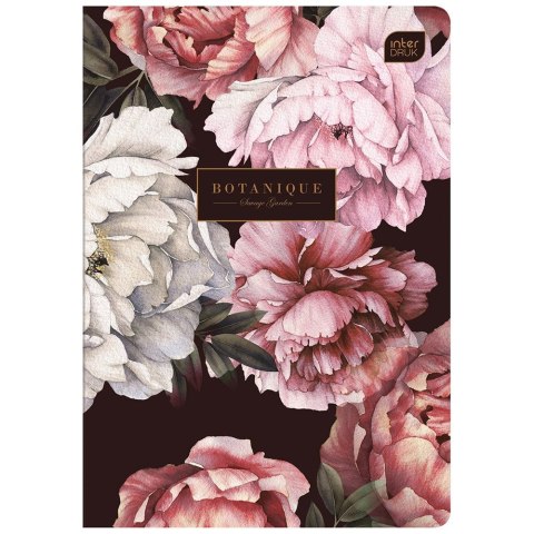 Zeszyt TRENDS Girls A5 60k. 70g krata Interdruk (ZE60#TRE1) Interdruk